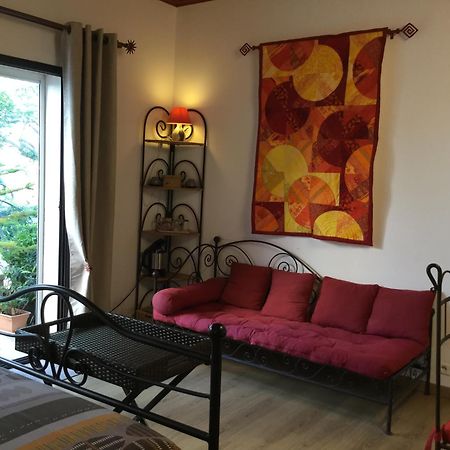 Bed and Breakfast Mas Soleil Et Vignes Saint-Hippolyte  Екстер'єр фото
