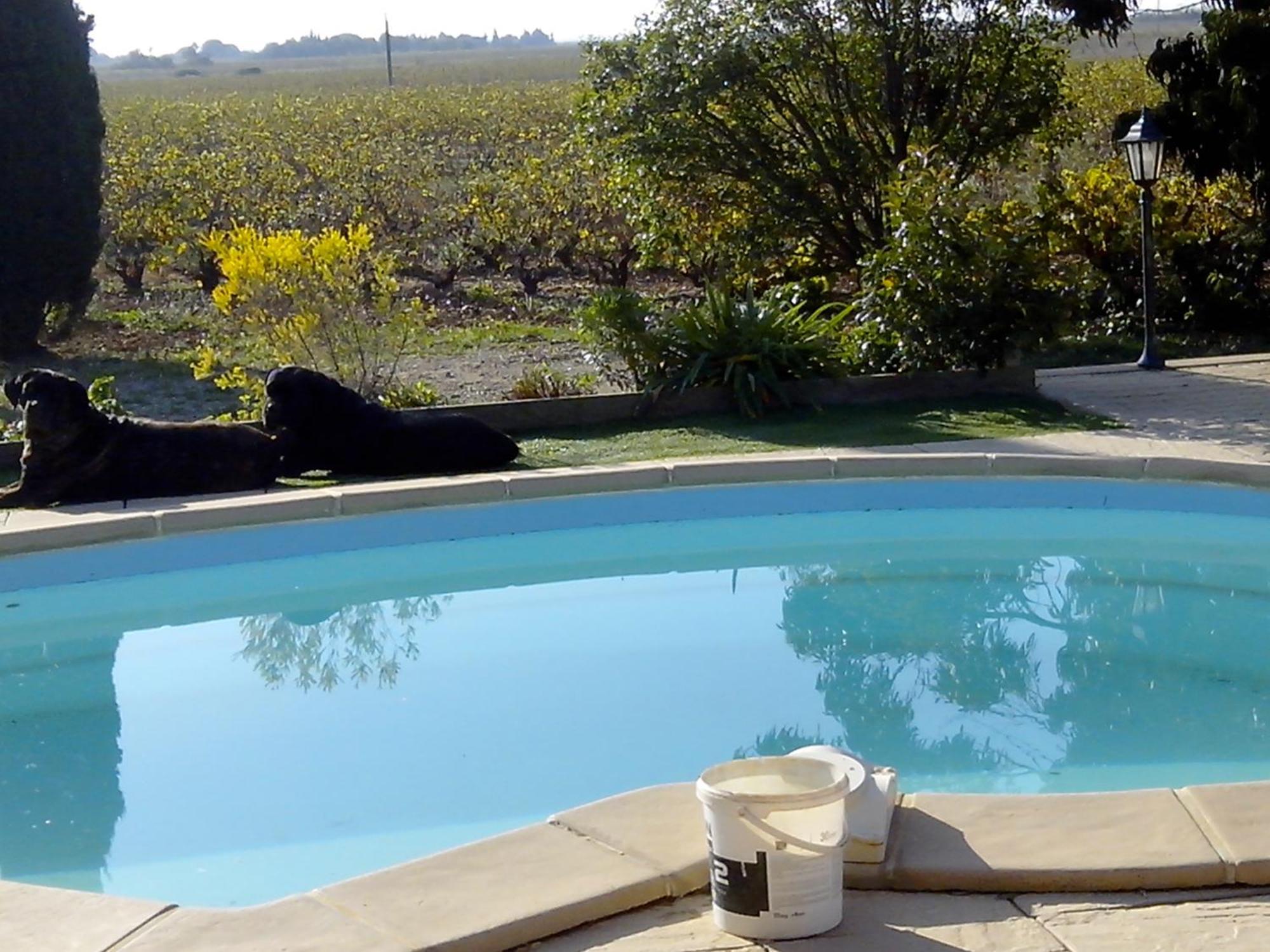 Bed and Breakfast Mas Soleil Et Vignes Saint-Hippolyte  Екстер'єр фото